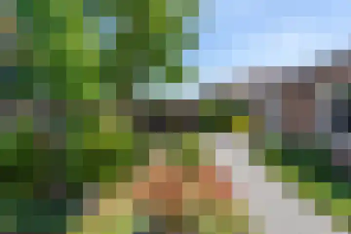 Weegbree 32 Udenhout thumbnail 40