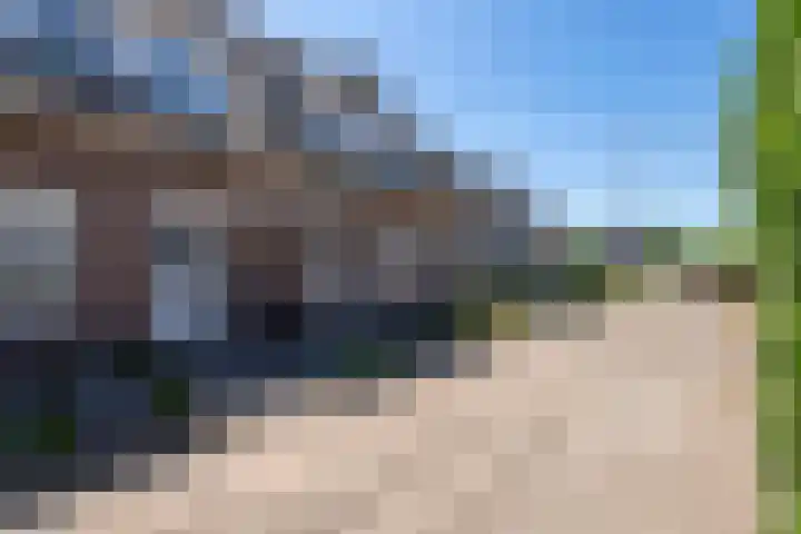Weegbree 32 Udenhout thumbnail 42