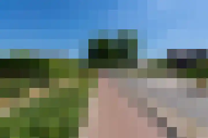 Weegbree 32 Udenhout thumbnail 45