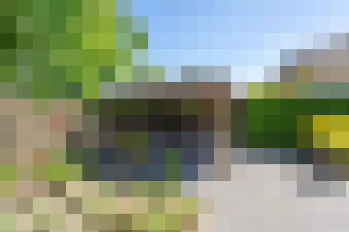 Weegbree 32 Udenhout thumbnail 5