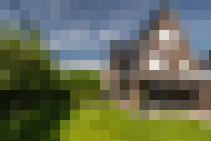 Weegbree 34 Havelte thumbnail 13