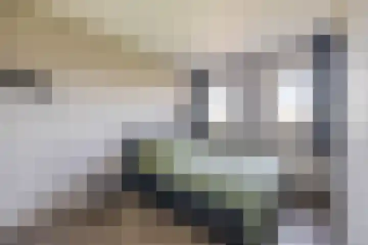 Weegbree 34 Havelte thumbnail 24