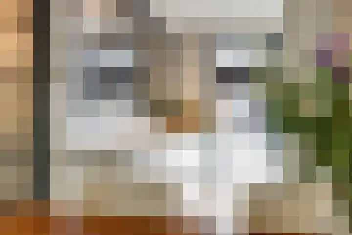 Weegbree 34 Havelte thumbnail 25