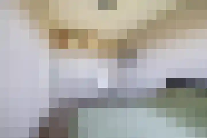 Weegbree 34 Havelte thumbnail 25