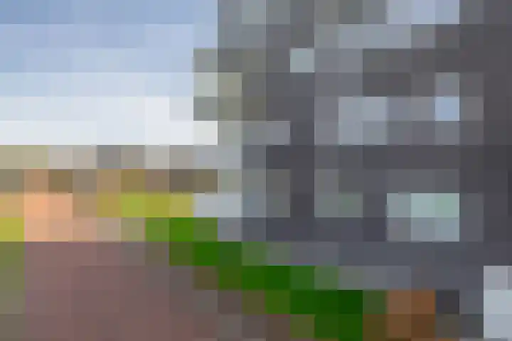 Weegbree 34 Havelte thumbnail 40
