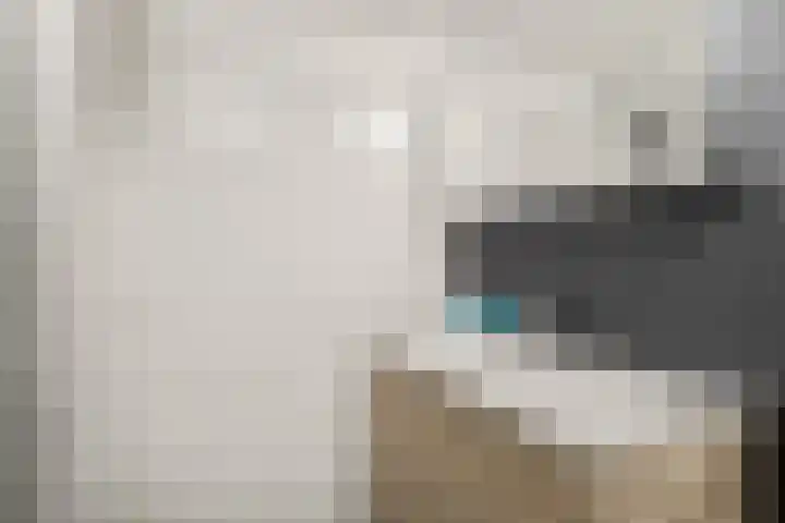 Weegbree 34 Havelte thumbnail 7