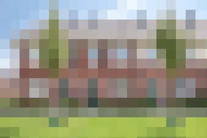 Weegbree 35 Zetten