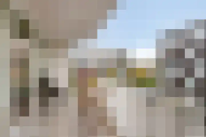 Weegbree 38 Havelte thumbnail 8