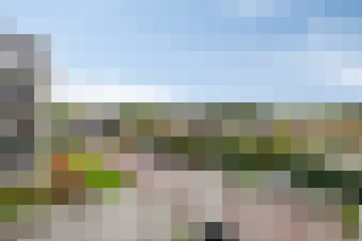 Weegbree 38 Havelte thumbnail 9