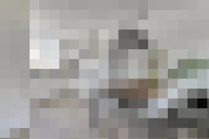 Weegbree 4 Gouderak thumbnail 10