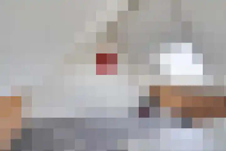 Weegbree 4 Gouderak thumbnail 23