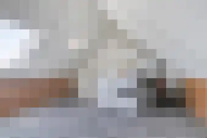 Weegbree 4 Gouderak thumbnail 24
