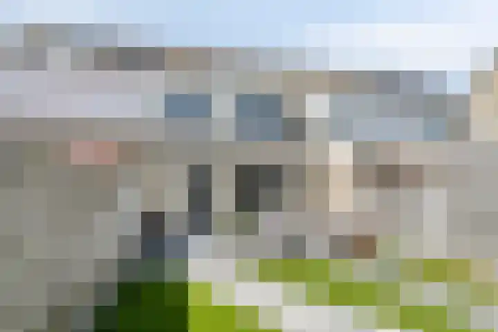 Weegbree 4 Gouderak thumbnail 25