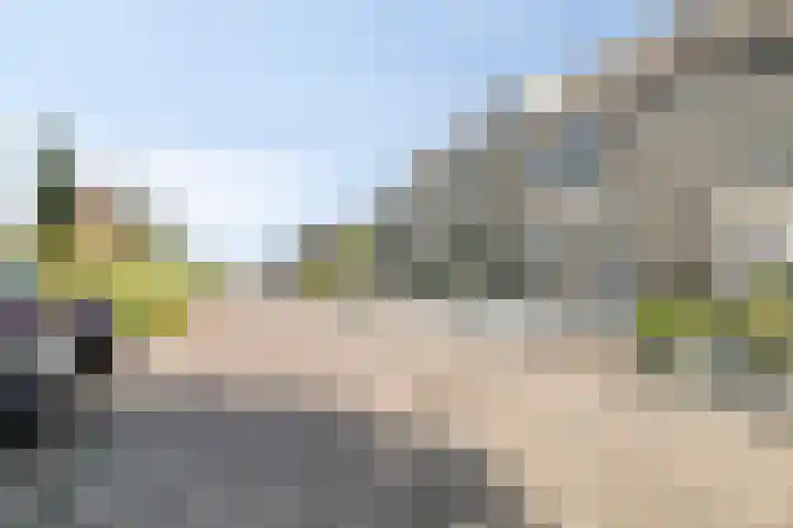 Weegbree 4 Gouderak thumbnail 29