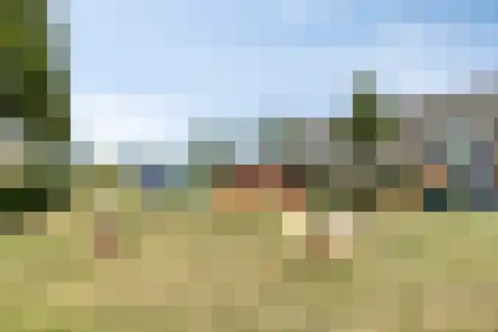 Weegbree 4 Gouderak thumbnail 30