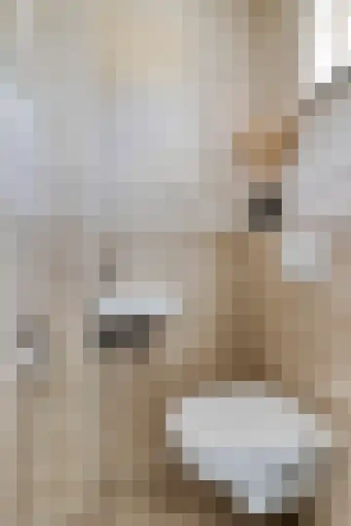Weegbree 4 Gouderak thumbnail 6