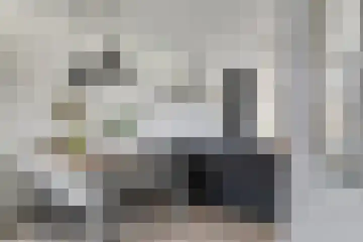Weegbree 4 Gouderak thumbnail 7