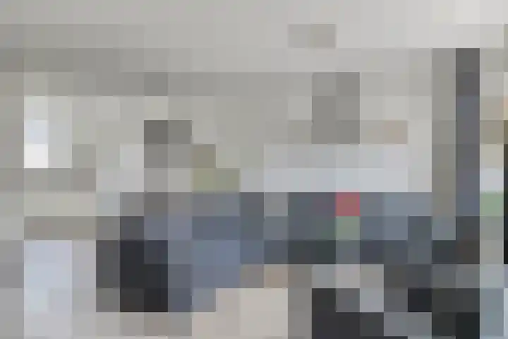 Weegbree 4 Gouderak thumbnail 8