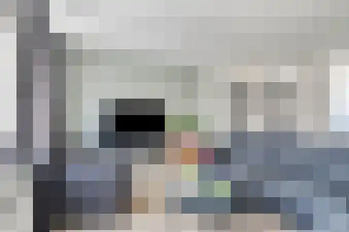 Weegbree 4 Gouderak thumbnail 9
