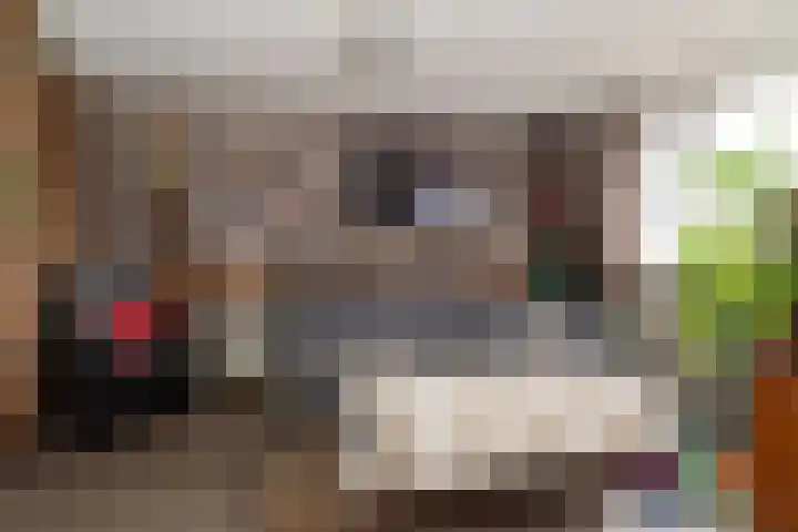 Weegbree 5 Nijverdal thumbnail 15