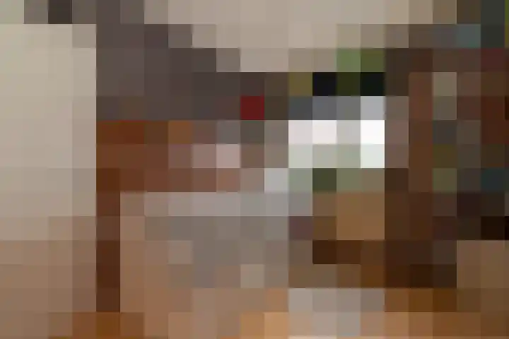 Weegbree 5 Nijverdal thumbnail 17