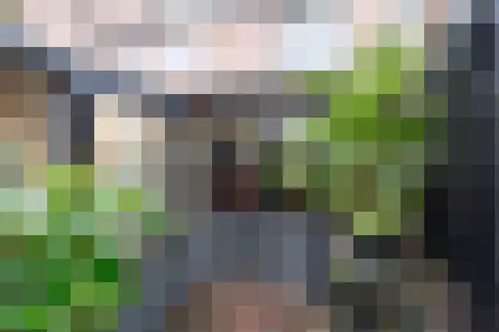 Weegbree 5 Nijverdal thumbnail 24