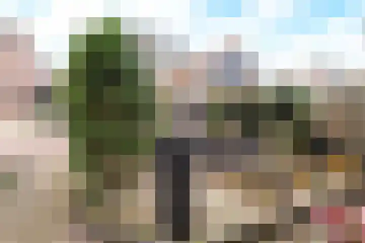 Weegbree 5 Nijverdal thumbnail 26