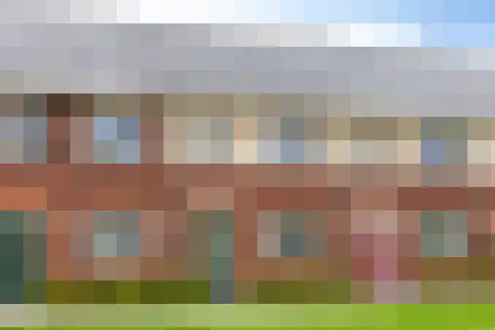 Weegbree 57 Zetten