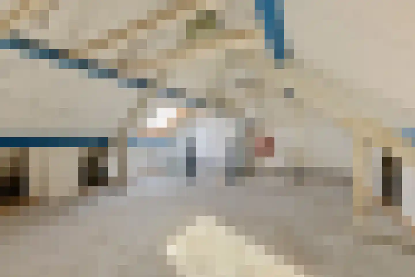 Weegbree 6 Helvoirt thumbnail 27