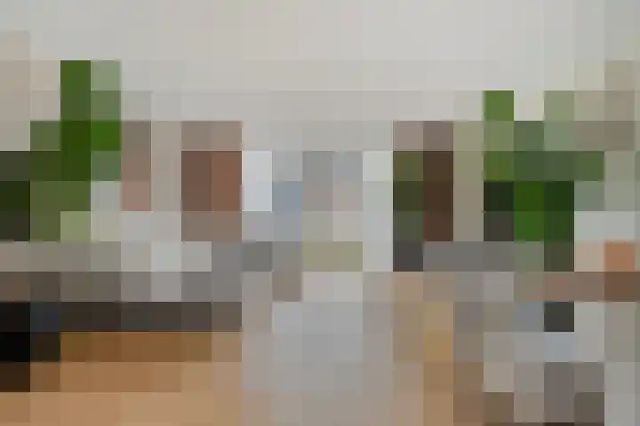 Weegbree 60 Zetten thumbnail 11