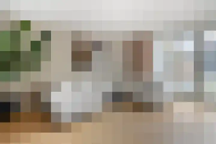 Weegbree 60 Zetten thumbnail 13