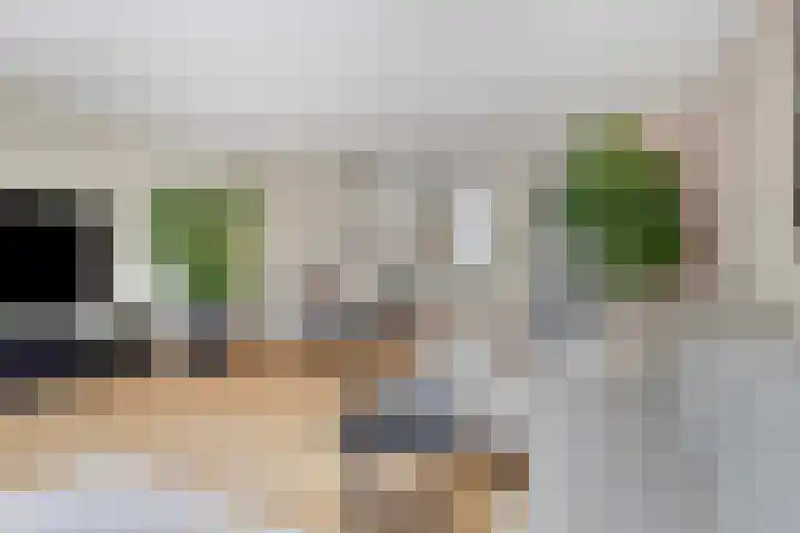 Weegbree 60 Zetten thumbnail 14