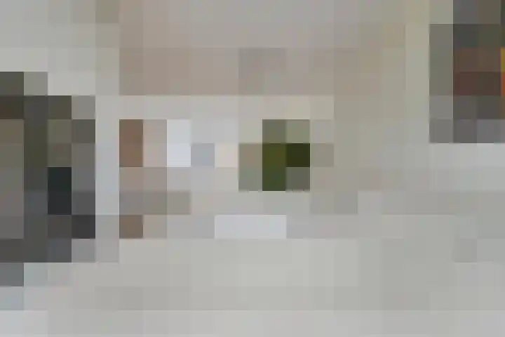 Weegbree 60 Zetten thumbnail 20