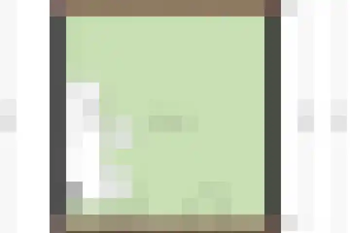 Weegbree 60 Zetten thumbnail 34