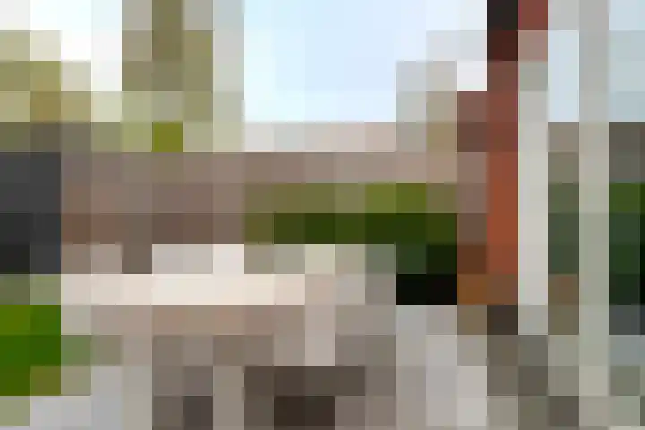 Weegbree 60 Zetten thumbnail 35