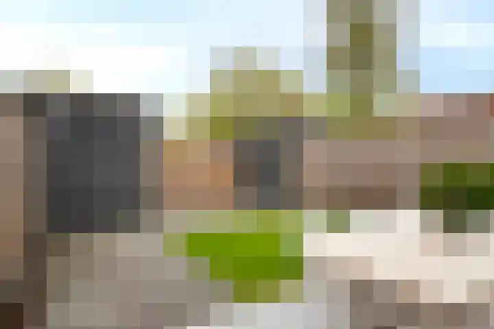 Weegbree 60 Zetten thumbnail 36