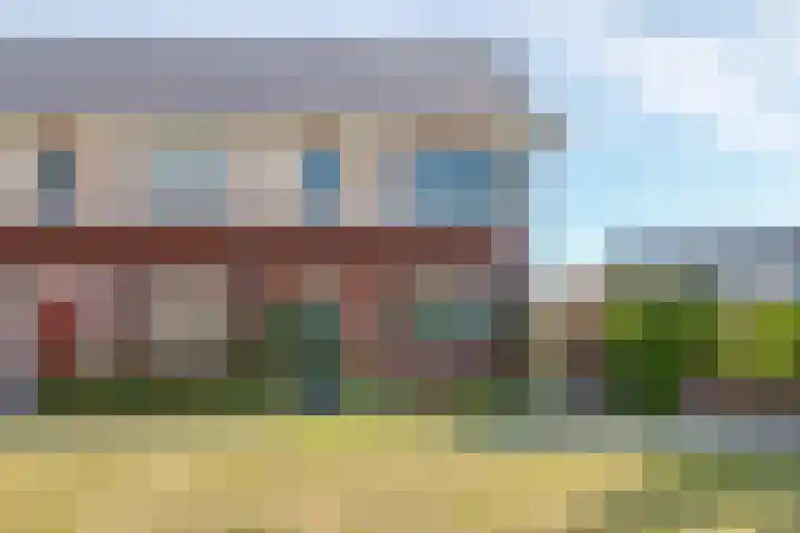 Weegbree 61 Zetten