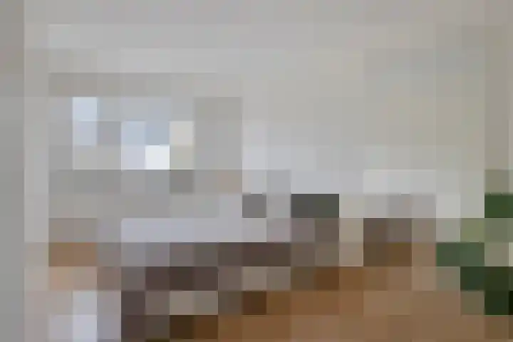 Weegbree 63 's-Hertogenbosch thumbnail 14