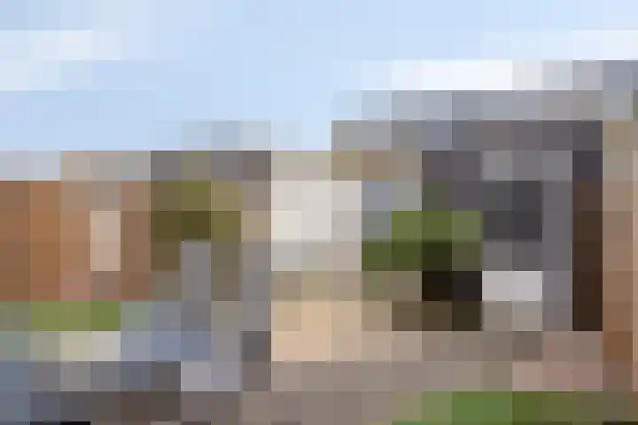 Weegbree 63 's-Hertogenbosch thumbnail 20