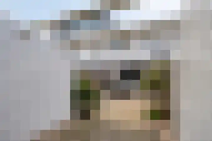 Weegbree 63 's-Hertogenbosch thumbnail 21
