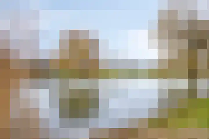 Weegbree 63 's-Hertogenbosch thumbnail 27