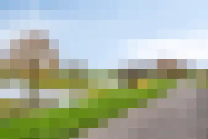 Weegbree 63 's-Hertogenbosch thumbnail 28