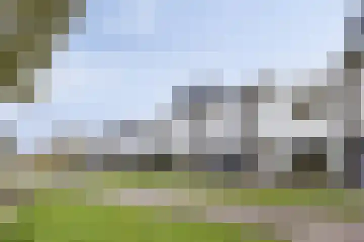 Weegbree 63 's-Hertogenbosch thumbnail 4