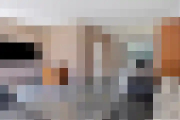 Weegbree 7 Best thumbnail 11