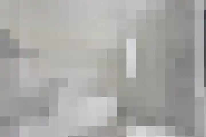 Weegbree 7 Best thumbnail 22