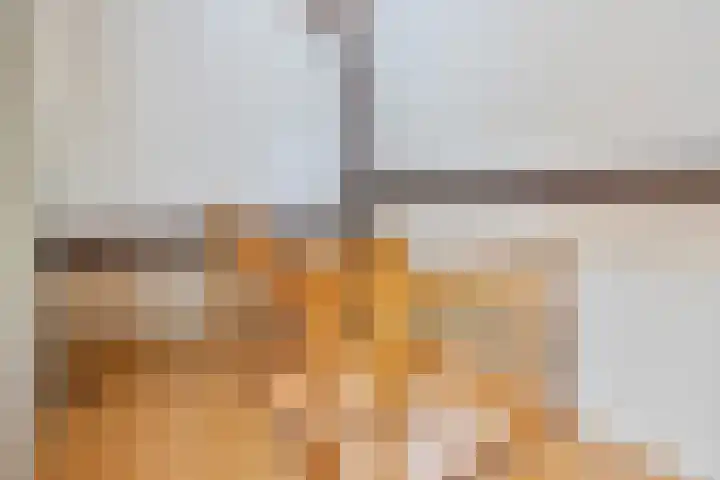 Weegbree 7 Best thumbnail 29