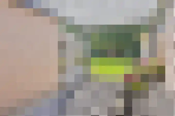 Weegbree 7 Best thumbnail 33