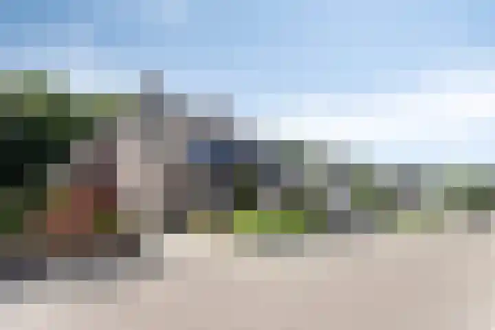 Weegbree 7 Best thumbnail 6