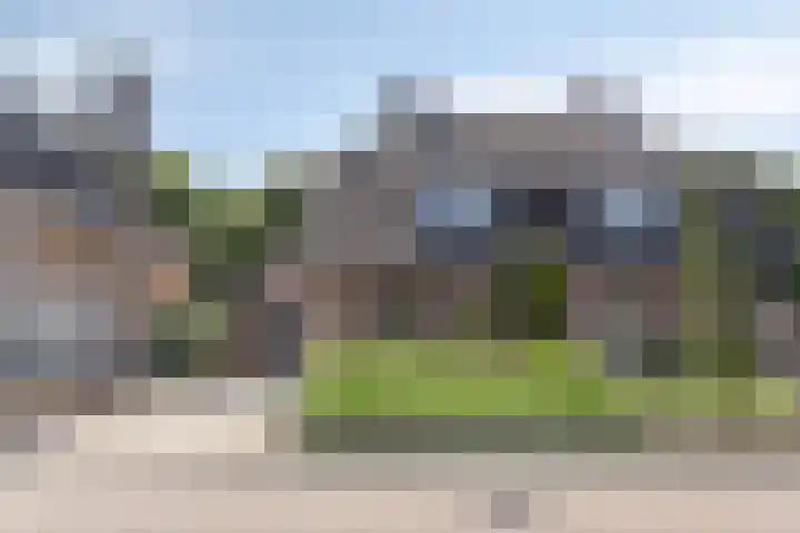 Weegbree 7 Best thumbnail 7