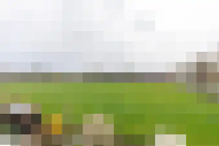 Weegbree 79 IJsselstein thumbnail 36